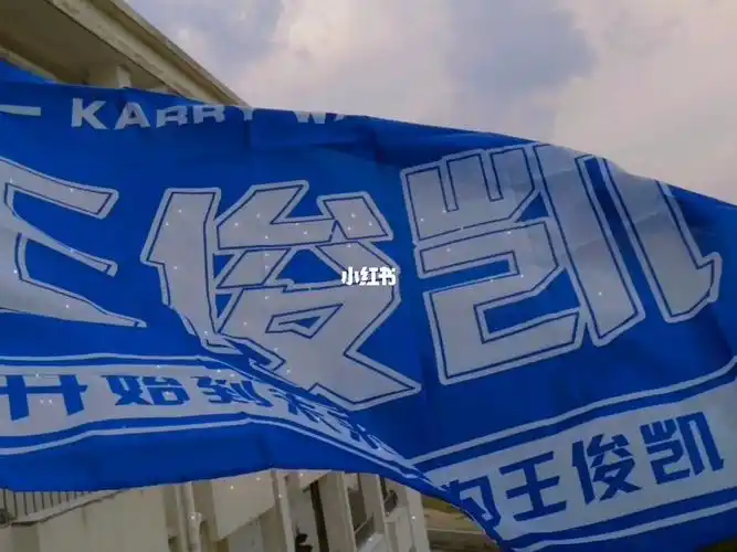 我为王俊凯举大旗