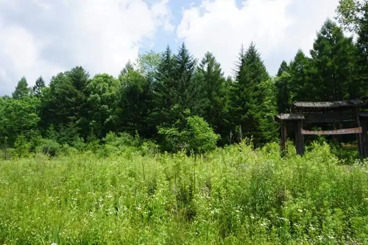 怡宝赛讯|tnf100长白山:在原始森林里遨游是怎样的体验?