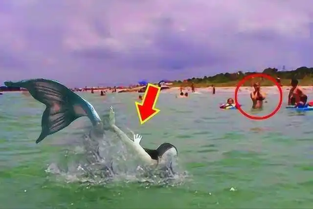 亚特兰蒂斯人生活在海洋深处?神秘男孩揭露秘密:美人鱼真实存在?