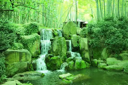 竹林溪流摄影图__山水风景_自然景观_摄影图库_昵图网nipic.com