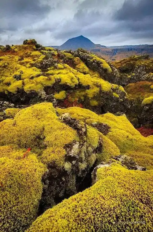 50幅世界美景,养眼!