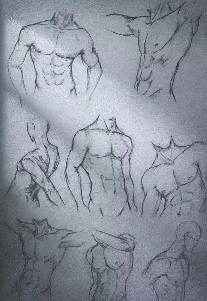 "无不良引导."#腹肌#临摹 - 抖音