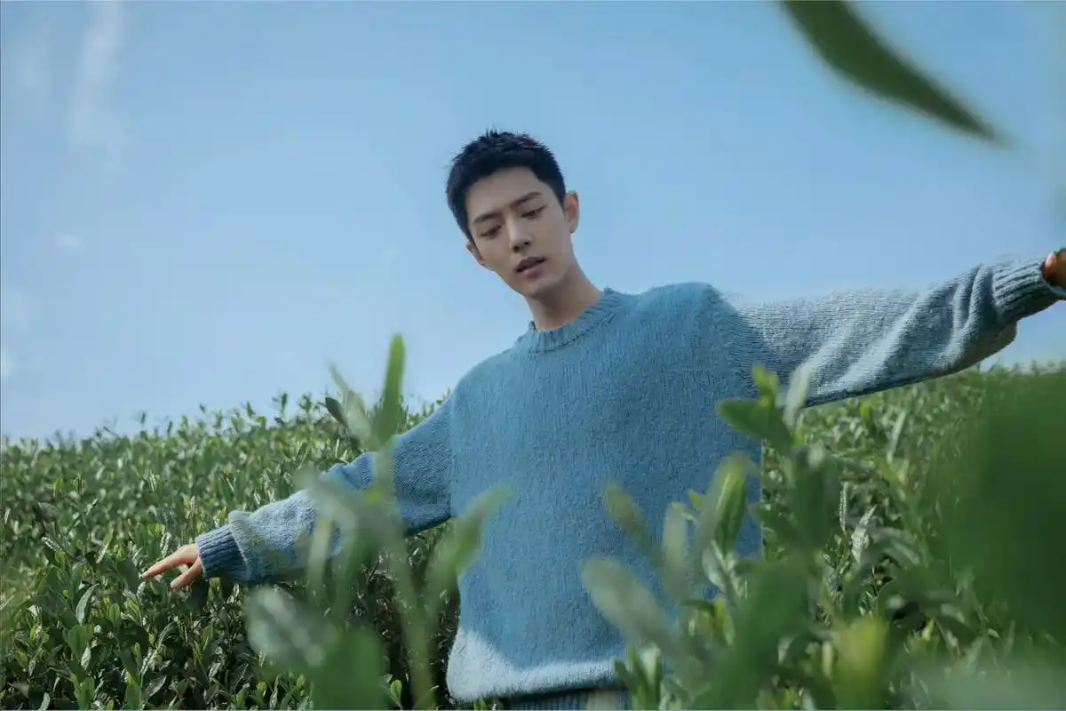 一周的电脑横屏壁纸#肖战 #壁纸 #肖战的小飞侠 #战兔安利 - 抖音