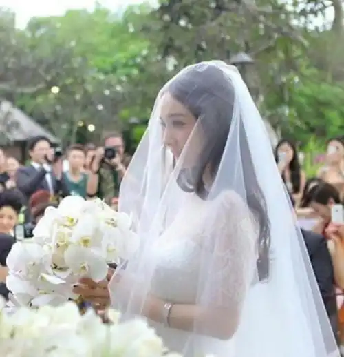 赵丽颖在去年主演了好几部大热的电视剧,比如《错点鸳鸯》,《妻子的