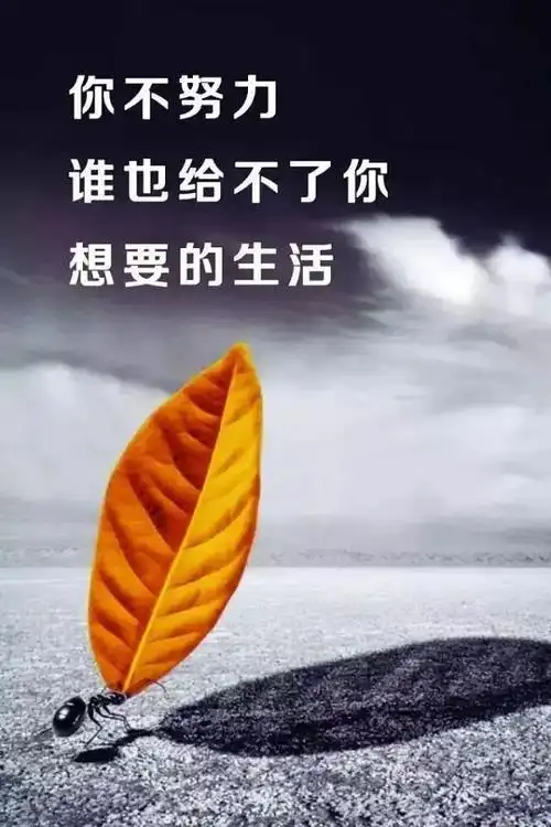励志短句最新2020年努力奋斗的句子