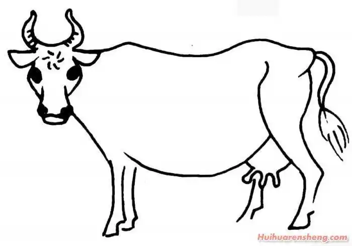 十二生肖牛简笔画图片水牛简笔画法大全4