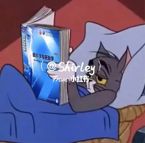 学医  #蓝色生死恋  #ps  #表情包  #猫和老鼠