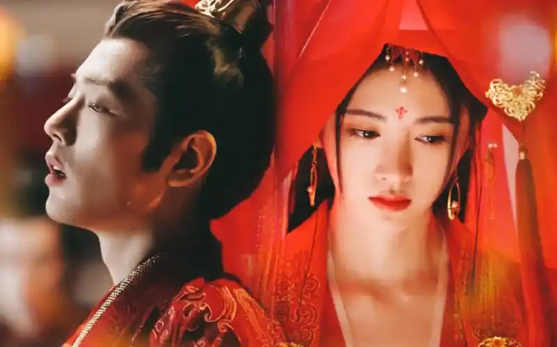 肖战|鞠婧祎|今日大婚你刀了吗?