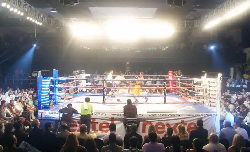 您好欢迎访问wufc世界终极格斗联合会