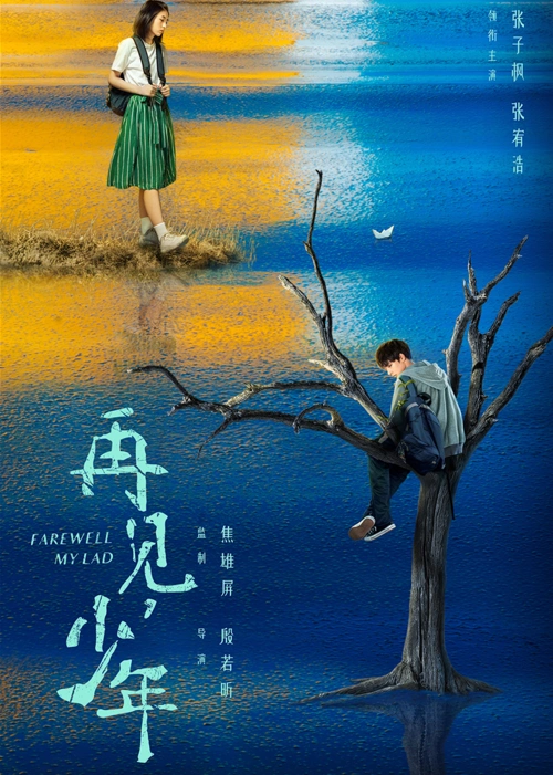 再见少年farewellmylad电影