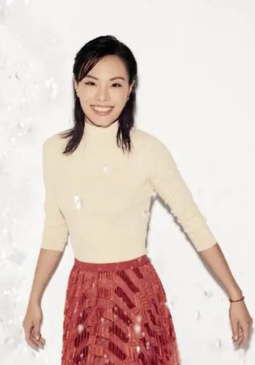 吴敏霞:跳水皇后的非豪门婚姻