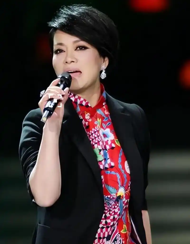 毛阿敏40岁嫁百亿富商丈夫离世后260亿遗产由外人继承