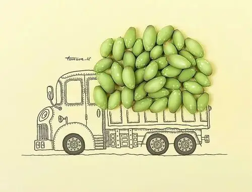 美乐棋小空中课堂微课程二年级创意启发——生活小物品的联想插画欣赏