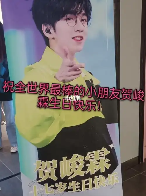 贺峻霖_生日快乐_名创优品怎么样_盲盒_拌饭_刘耀文_明信片_exo_娱乐