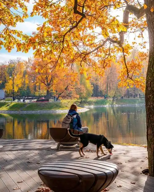 秋天那么美你拍出来好看照片了吗来学这6个摄影技巧吧