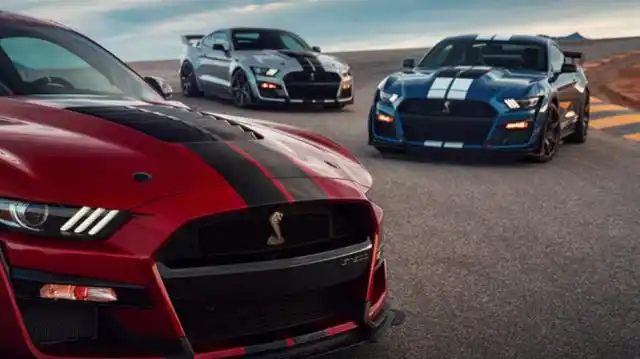 见到眼镜蛇车标的福特野马请绕着走,gtr也要让它三分