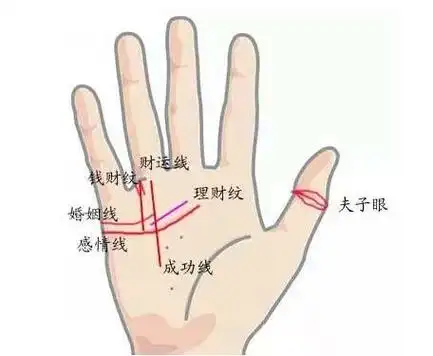 财运线-「手相事业线女」手相财运线详细解析 - 面相图解 - 易德轩网
