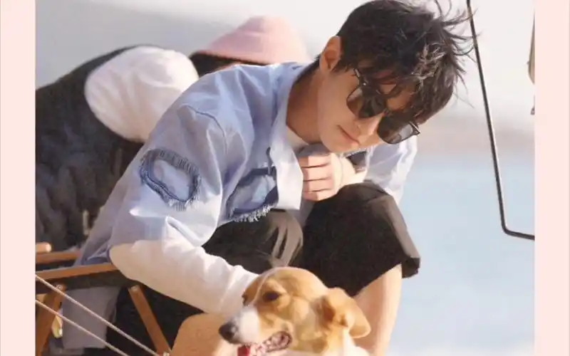 【王俊凯】不心动挑战:抱着狗狗的～海边蓝色少年～"我们不看这些坏人