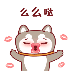 首页 软件 网络工具 表情包大全 呆萌哈哈微信表情软件介绍 求关注,多