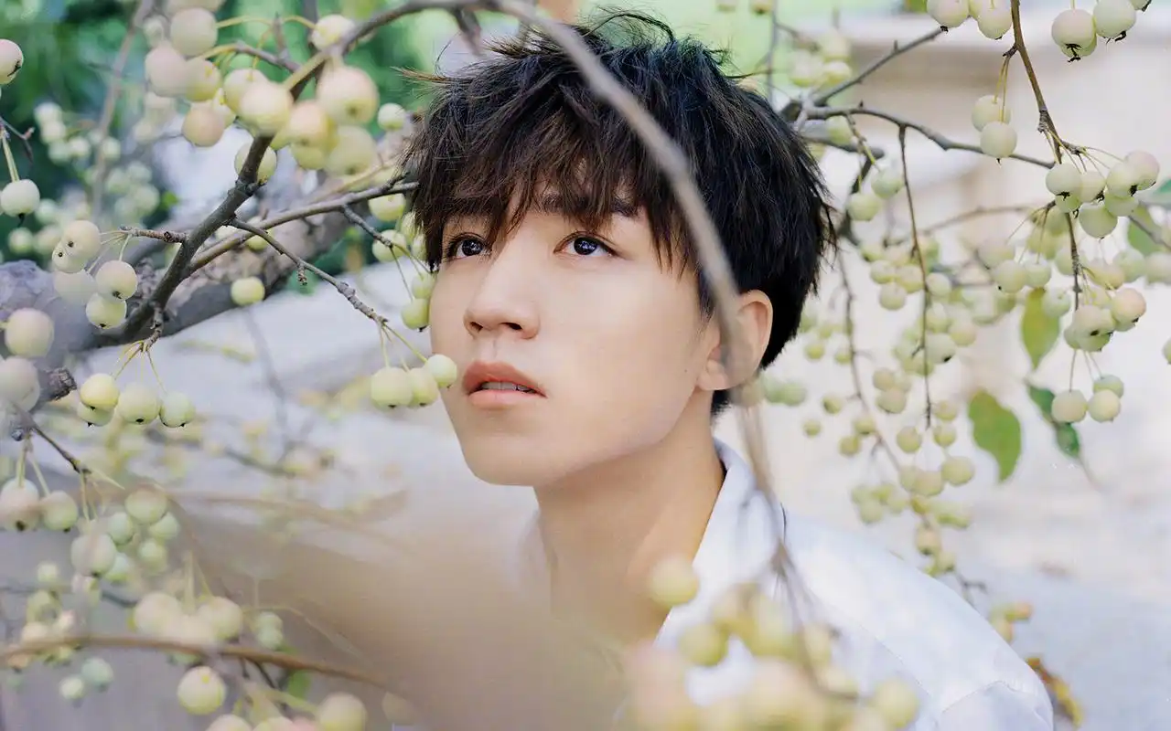 王俊凯帅气唯美高清桌面壁纸