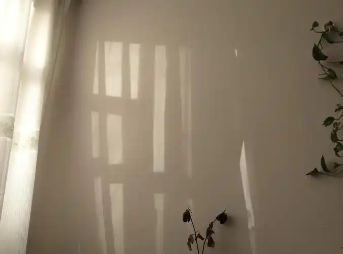 房间是阴面很少有阳光照进来,寒假回家一个月可能就遇见这么两次