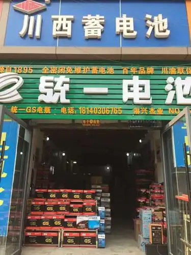 川西统一蓄电池