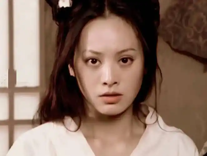 吕不韦传奇:若不是28岁的宁静太惊艳_赵姬_异人_华阳夫人