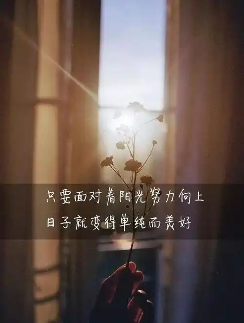 心情句子大全图片伤感的句子说说心情