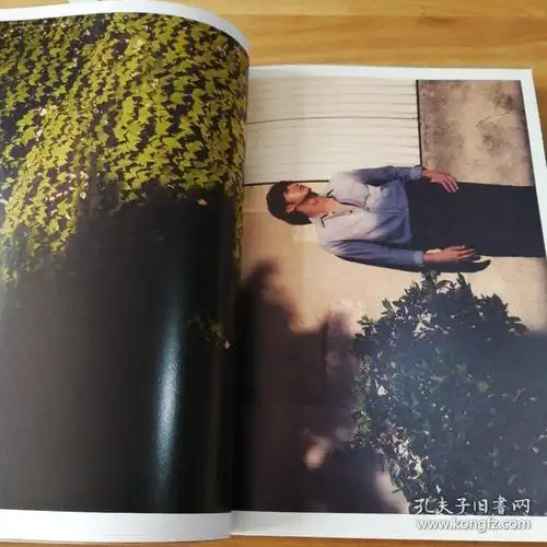 南法寄出_贺军翔 著_孔夫子旧书网