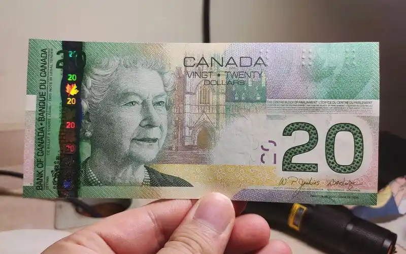 活动  2004年世界最佳纸币, 加拿大20元纸币,票面是优雅的女王头像