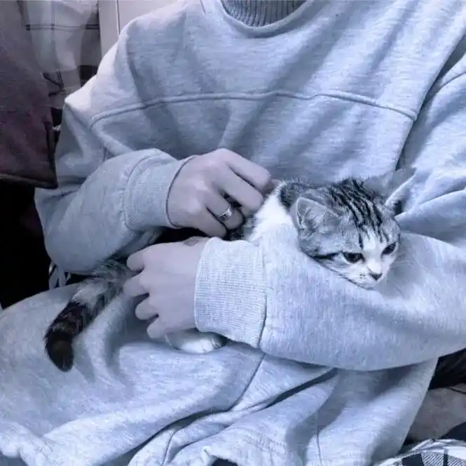 抱猫头像 #抱猫男生头像 #男生头像  - 抖音