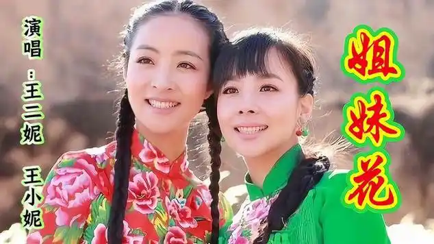 王二妮牵手王小妮合唱《姐妹花》欢快婉转的歌声,太动听了|民谣|音乐
