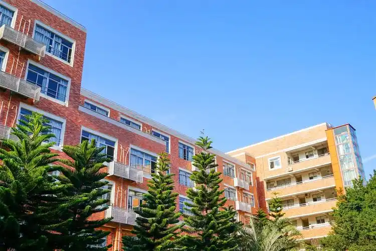 深大附中国际部2019招生简章 - 国际高中 - 点击国际教育