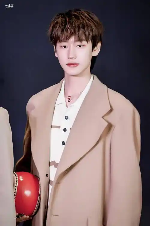 刘彰风格时尚红毯饭拍抱着小鼓的ak22岁的第一个红毯帅鸭