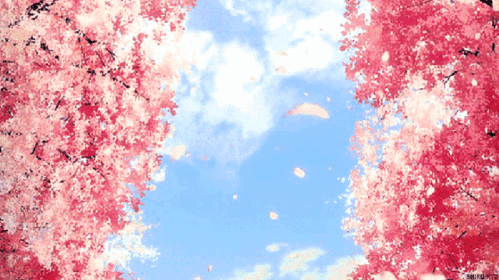 640_359gif 动态图 动图