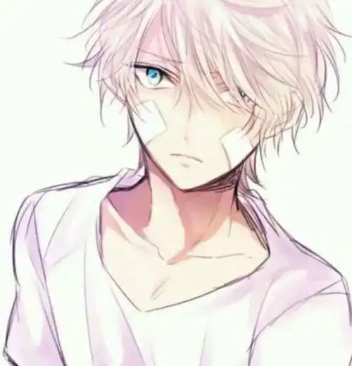 二次元动漫男头白衬衫.