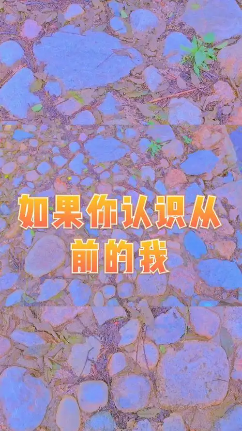 你认识从前的我你会原谅现在的我你了解我你会更加喜欢我