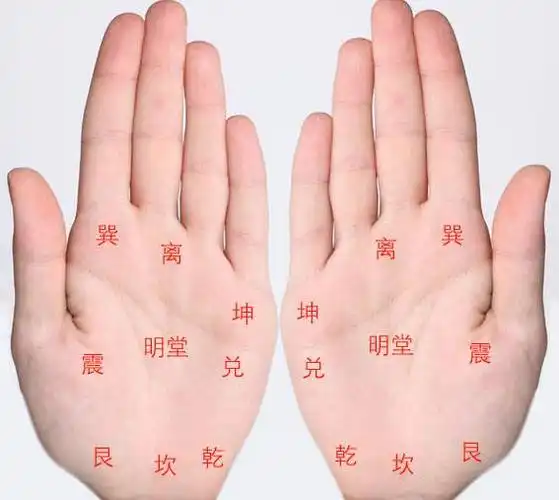 手掌上的八卦九宫代表什么含义