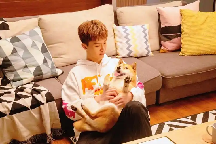 范丞丞 - 堆糖,美图壁纸兴趣社区