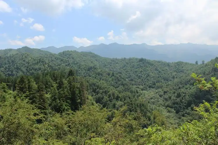陇上碧莲---莲峰山图片785,甘肃省旅游景点,风景名胜 - 蚂蜂窝图库