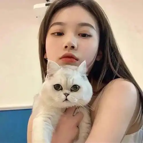 56情侣头像之对象不是人系列