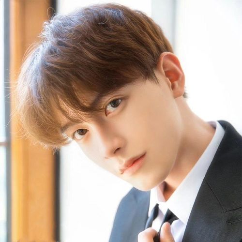 韩版假发男中分刘海短直发型蓬松帅气自然逼真时尚复古学生全头套