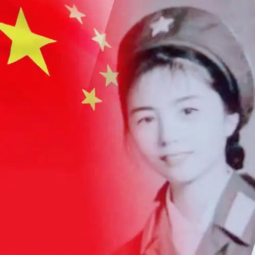 如茶|《战友情》作者|武秀清