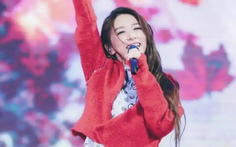 田馥甄和猫的故事