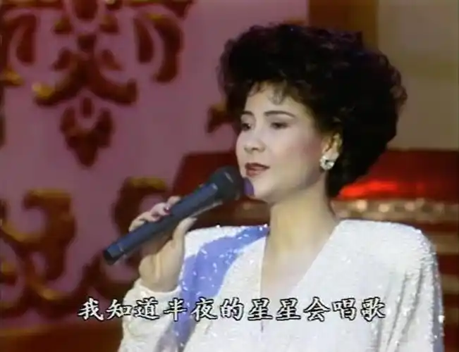 1991年,甄妮因为在央视春晚的舞台上演唱《鲁冰花》令知名度再次提升
