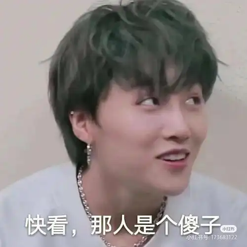 最后一次发她们的表情包,下次就发小炸的#the9  #表情包  #搞笑表情包