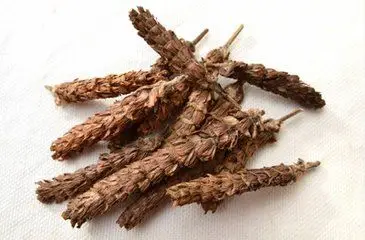 【夏枯草】的功效与作用_药用价值_副作用和使用禁忌_中药_绿茶说