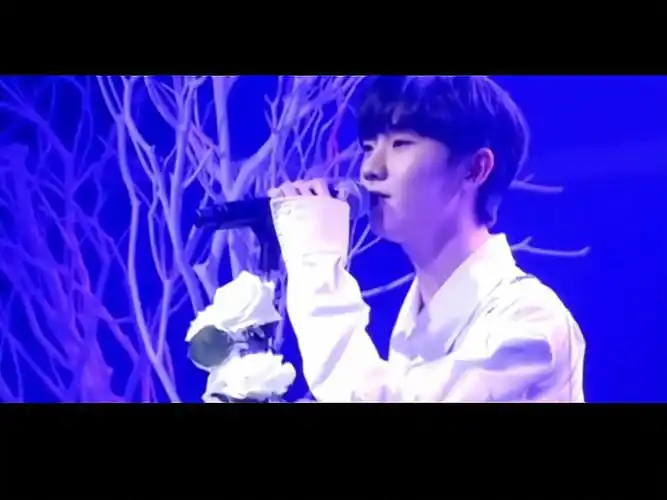 "我用十五秒钟,给你们展示八个马嘉祺的绝美舞台"