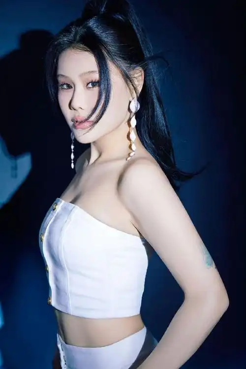 袁娅维维式快充