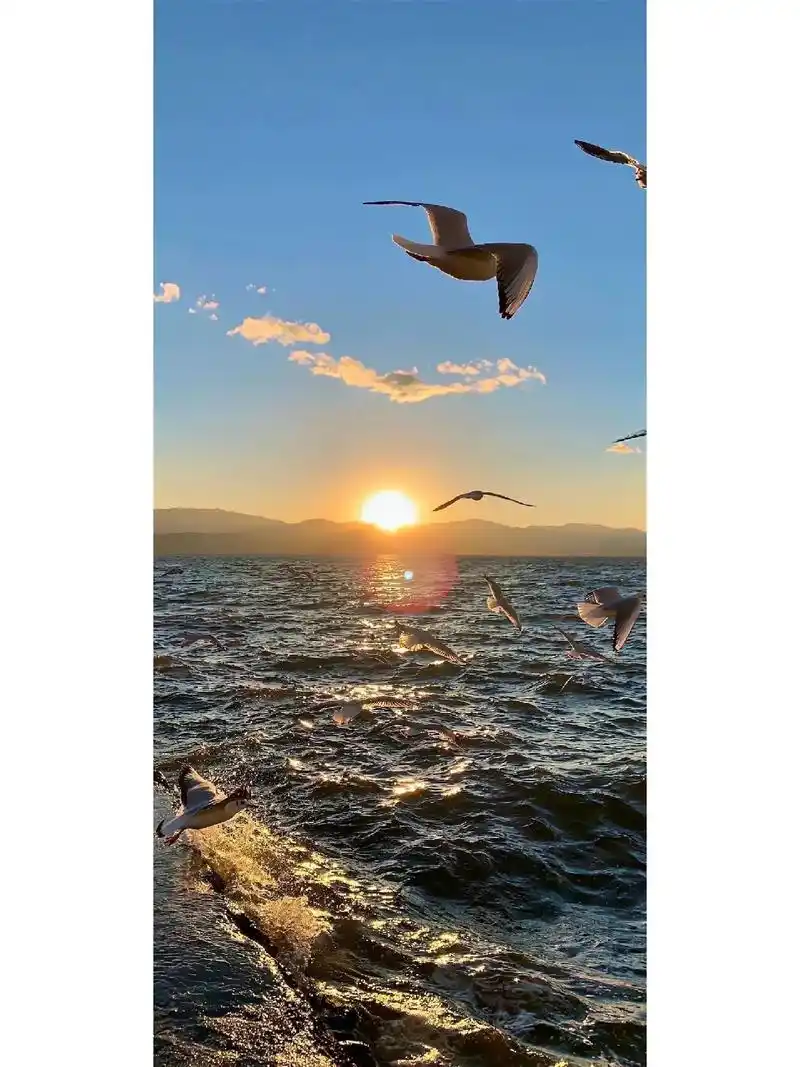 椰树图片# #分享海边随手拍# #碧海蓝天风景# - 抖音